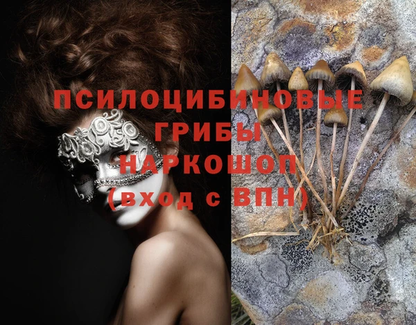 кристаллы Абаза