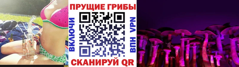 Галлюциногенные грибы Cubensis Рассказово