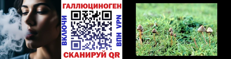 Псилоцибиновые грибы GOLDEN TEACHER  ссылка на мегу онион  Рассказово  купить наркотики сайты 